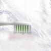 Philips HX2461 Sonic Electric Toothbrush