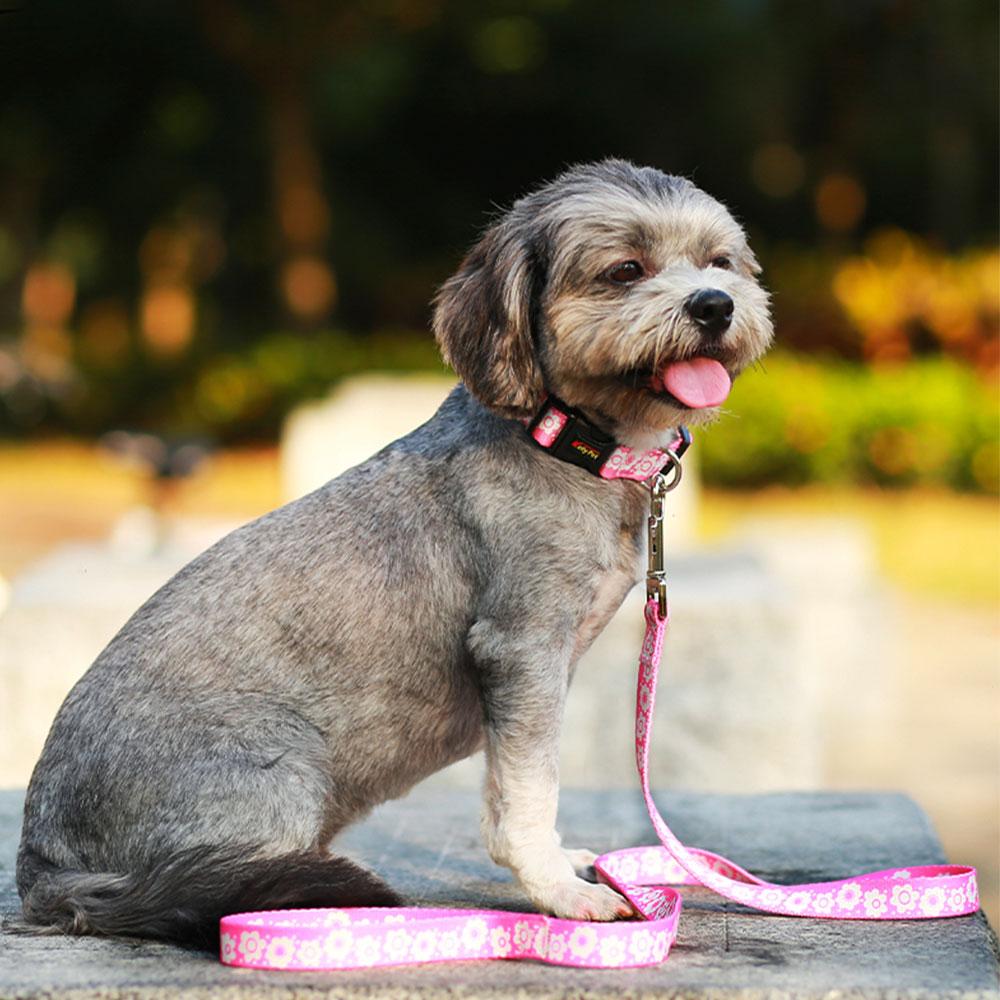 Cute Puppy Dog Collar and Leash Set Adjustable Dogs Cats Printed Collar Walking Lead Leash Chihuahua Collar Necklace Bone Print