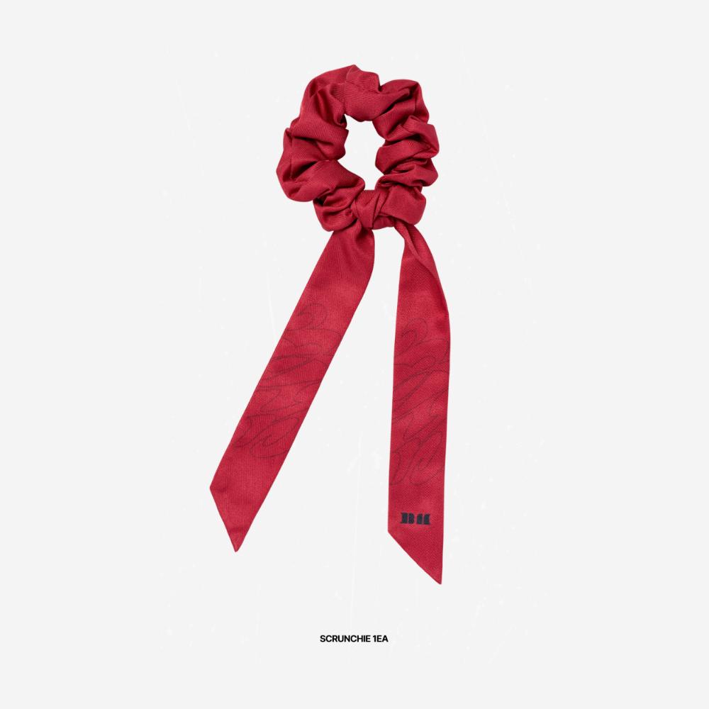 Резинка для волос BABYMONSTER CHOOM