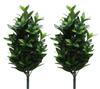 Domestic Quality SOKA SGI Academic Hall Specifications Shikimi Japanese Cypress Artificial Flowers Approximately 50cm 2 Pieces Buddha Front Grave