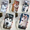 Чехол для телефона с изображением щенка хаски для Samsung Galaxy A53 A33 A13 A12 A32 A52 A14 A34 A54 A15 A25 A35 A55 A71 A51