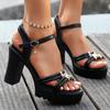 Fashion Ladies Shoes Summer Platform Buckle Strap Women's Open Toe Sandals Outdoor Metal Decoration Versatile Daily Party Heeled Sandals