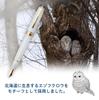 Перьевая ручка Sailor Ezo Fountain Бело-фиолетовая "Пересекающая луну сова", (EF (Очень хорошо))