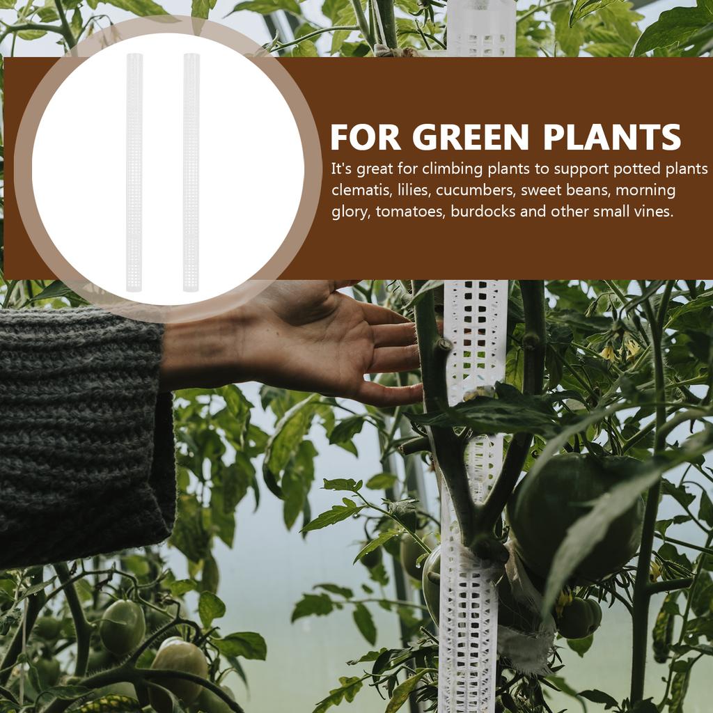 2 шт. Шест для лазания, Поддержка для растений, Ползучие растения, Столб, Цветок, Мох для садового инструмента