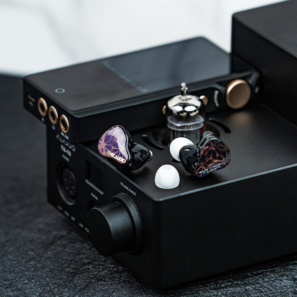 THIEAUDIO Hype 2 Hybrid Earphones Equipped with Drivers Recable Design Earphones Using Structure Headphones for Instrument 2BA+2DD High-end 4-way