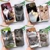 British Shorthair Cat Case For iPhone 15 14 13 12 11 Pro Max XS X XR SE 2020 2022 7 8 Plus 12 13 Mini Cover Shell