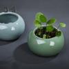 Керамическая чаша для выращивания лотоса, круглый мини-горшок для цветов, глазурованная чаша для бонсай, горшок для посадки щитолистника, небольшие гидропонные растения