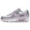 Air Max 90 Leather 'Iced Lilac' Gs CD6864-002