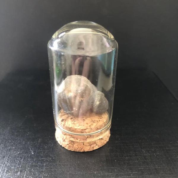 Natural Crystal Rock Mineral Specimens: Educational Gifts for Kids