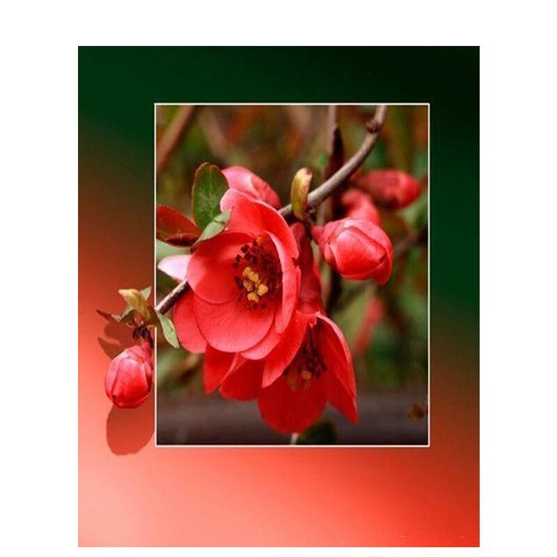 Алмазная картина, полная дрель, круглые красные цветы для взрослых, детей, алмазная художественная вышивка, украшение дома