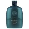 Oribe, Шампунь для увлажнения и контроля, 250 мл (8,5 жидких унций)