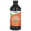 Liquid Chlorophyll, Natural Mint Flavor, 473 mL (16 Fl Oz)
