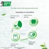 Darlie Cha Bei Jian Longjing Green Tea Toothpaste Bundle