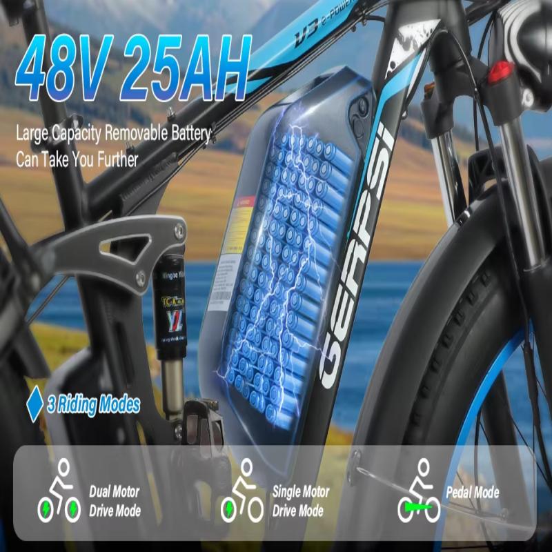 Ebike BLJ DP-2603 3000W Dual Motor 48V 25AH Battery, Front and Rear Shock Absorption, 26-inch Snow Tires, Adult E-Bicycle.