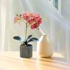 Artificial Potted Plant Faux Moth Orchid Bonsai Desktop Artificial Potted Phalaenopsis Flowers for Home Dining Table Office Desk Decoration