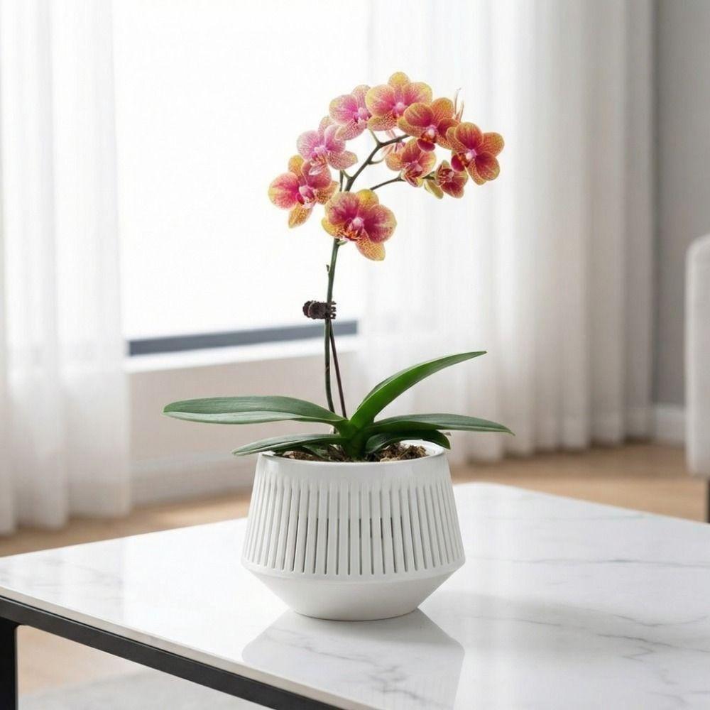 Увлажняющий Горшок-сетка для Орхидей Утолщающий Контроль Корней Цветочный Горшок Садоводство Посадка