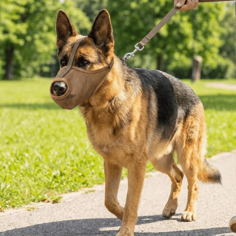 Breathable Mesh Puppy Mouth Cover Washable Dog Face Cover Portable Dog Muzzle Pet Supplies