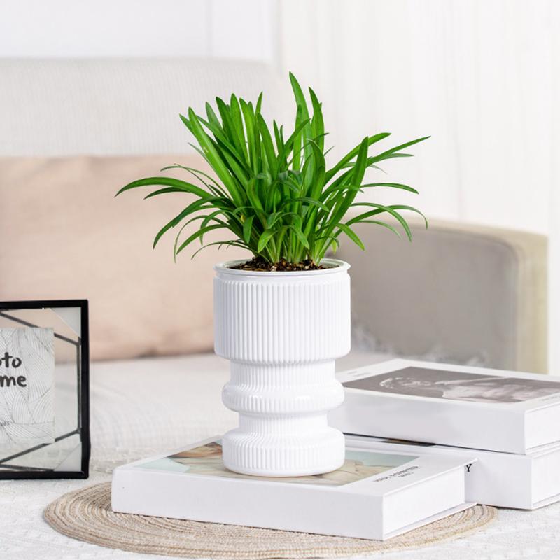 1 шт. Двухслойный однотонный горшок для выращивания цветов в почве, декоративный горшок, настольные украшения, 3 цвета