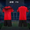 Adult Kids Soccer Jersey Short Sleeve Training Shirt Volleyball Basketball Team Club