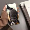 Бернский зенненхунд Для Huawei P20 P40 Lite P60 P30 Pro Nova 5T 9 10 SE 12s 12i 11i Y90 Y70 Y60 Y61 Y91 Y72 Чехол