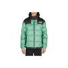 THE NORTH FACE Jackets Unisex Green Stand Collar Moderate Other NF0A3Y23-N11