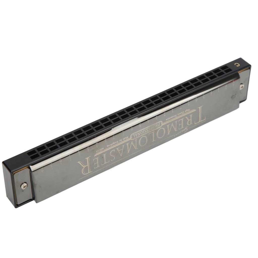 Harmonica 24 Holes Key of C Mouth Organ Instrument Toy with Case for Beginner Kid Adult