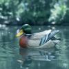 Реалистичное Плавающее Утиное Украшение Реалистичная Статуя Водонепроницаемый Декор