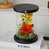 Ночник «Роза в стеклянном куполе», Лампа «Вечный цветок» с сенсорным управлением, Трехуровневая яркость, Прикроватный декор