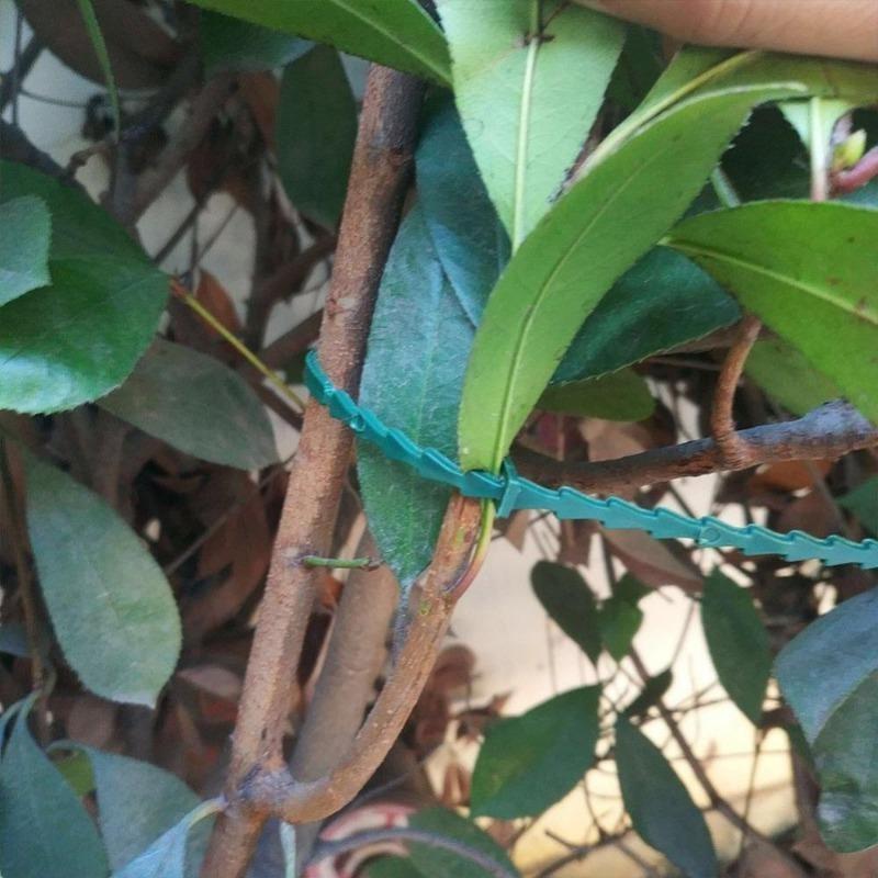 50pcs Adjustable Plastic Plant Ties Reusable Garden Tree Climbing Bracket Plant Vine Tomato Stem Clamp Ties