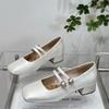 Xiaoxiangfeng Light Mouth Double Buckle with Mary Jane Shoes Women's 2025 Autumn New Fashion Silver with Skirt Thick Heel Single Shoes