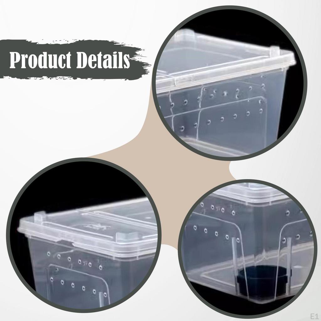 Бокс для кормления рептилий, разведение, прозрачный террариум, среда обитания с кормушкой для змеи, сверчка