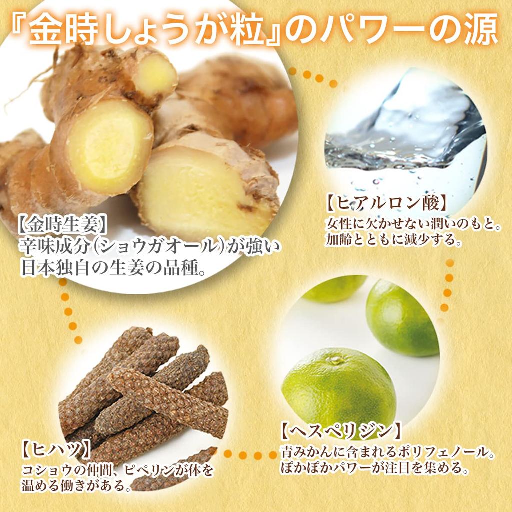 Зерна имбиря Sanwa Shokuken Kintoki 1 пакетик на 1 месяц (60 таблеток)