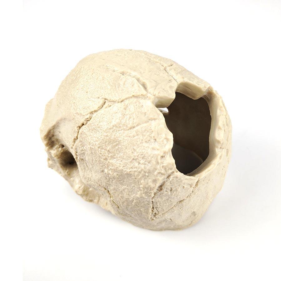 1 Set Resin Skull Aquarium Decor – Fish, Shrimp & Reptile Breeding Cave with Built-in Bubbler Stone for Oxygenation | Halloween Fish Tank Ornament