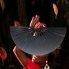 PVC Tai Chi Fan Ten Inch Glitter Hand Fan  for Line Dancing, Parties, and Events