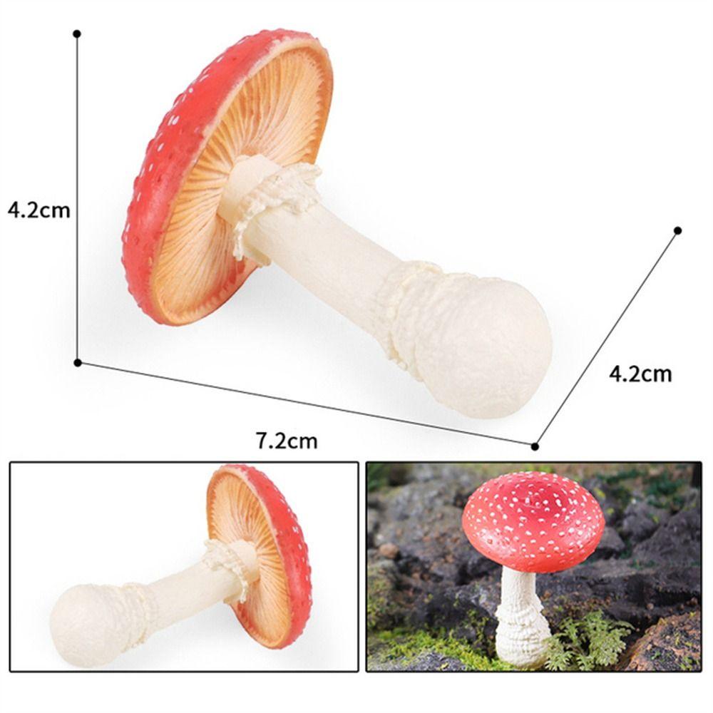Vegetable Model Simulation Mushroom Landscape Miniatures Fungus Model  Home Decoration