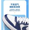 Nike Court Borough Mid 2 Grade School 'White Signal Blue' (Unisex) White / Signal Blue / Blue Void Kids' Skateboarding Shoes CD7782 107