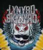 ФУТБОЛКА LYNYRD SKYNYRD РАЗМЕРЫ S-5XL Унисекс Футболка