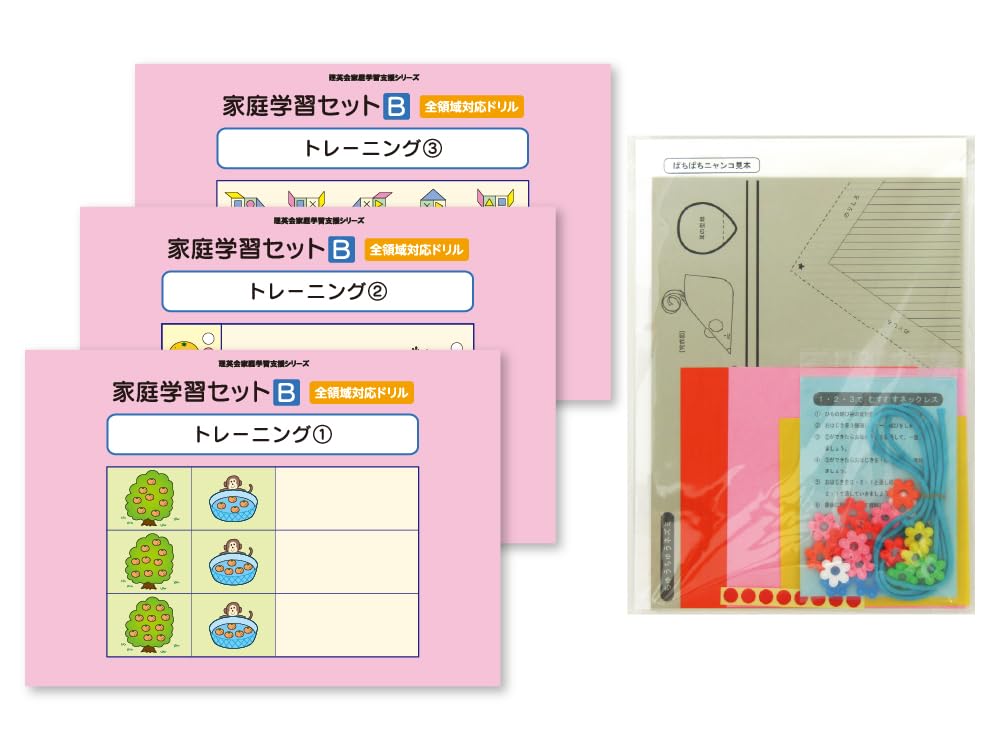 Комплект для домашнего обучения B поддержка домашнего обучения (Серия Rieikai)