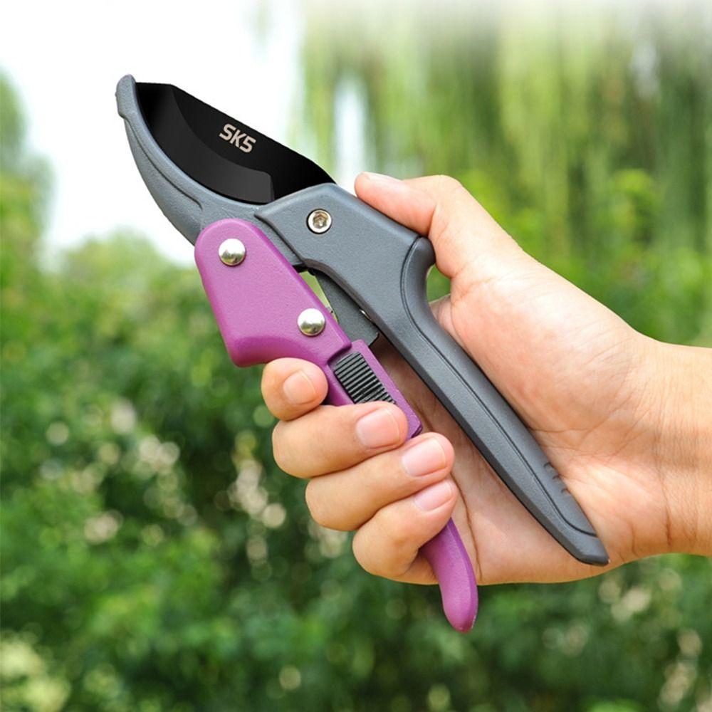 Ручные ножницы для сбора фруктов SK5, стальной секатор, инструмент для обрезки, ножницы для обрезки веток, сад
