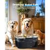 Фонтан для воды для собак из нержавеющей стали 2,6 галлона 10 л Фонтан для воды для домашних животных Фонтан для воды для кошек Миска для воды для собак Диспенсер для больших собак Му