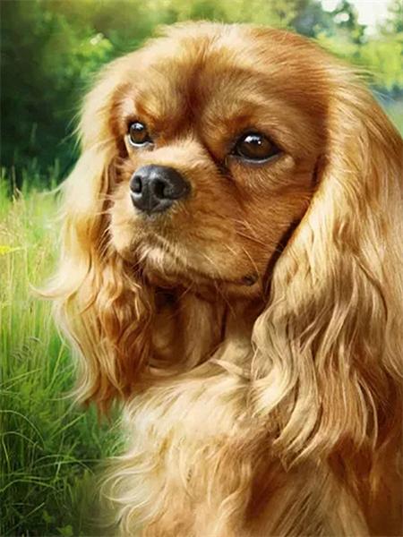 Full Round 5D Diamond Painting Dog Diy Embroidery Mosaic Animal Handmade Gift Home Decor