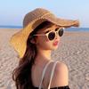 Beach Hat Internet Celebrity Small Fresh Straw Hat Summer Big Brim Sun Visor Sun Protection Seaside Versatile Foldable