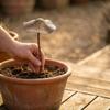 2PCS Handmade Mushroom Garden Stake Retro Style Garden Landscape Statue  Lawn Decoration