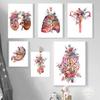 Body Education Human Anatomy Canvas Painting Artwork Medical Wall Art Skeleton Organ Minimalist Poster Print Picture Home Decor No Frame