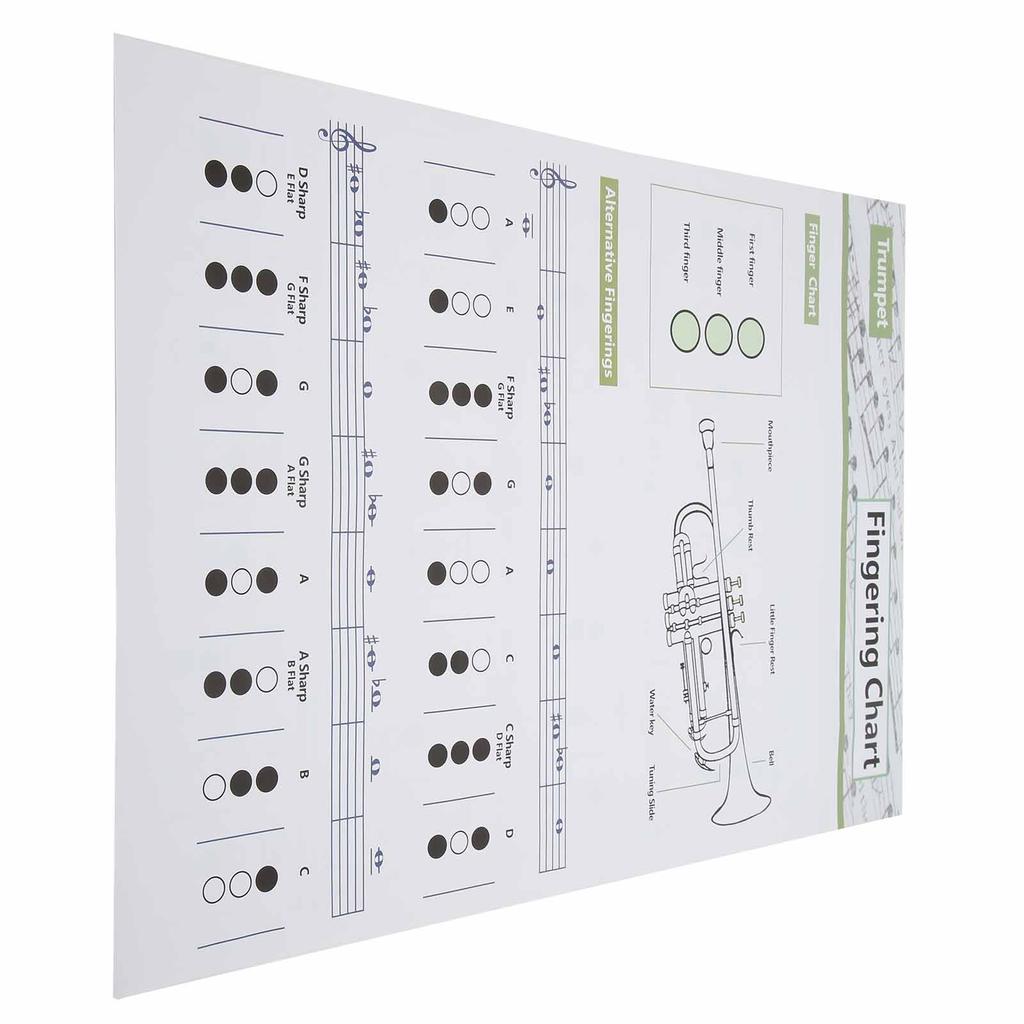 Таблица аккордов для трубы. Аппликатура нот. Справочное руководство по музыкальным инструментам для домашнего обучения.