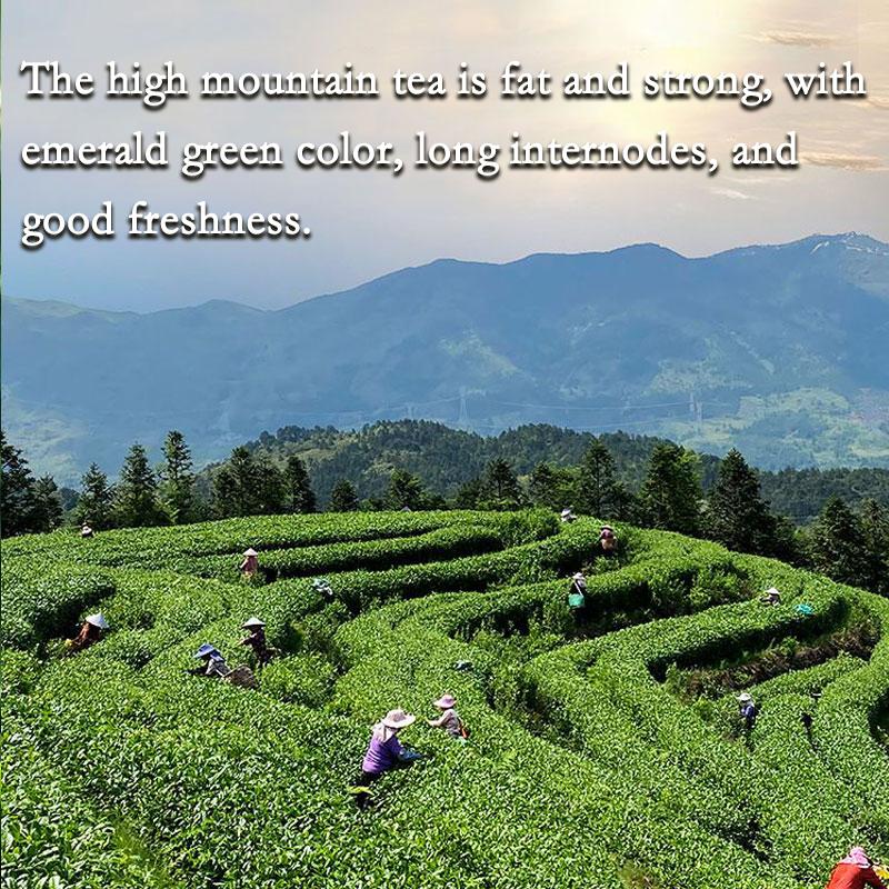 Jin Xuan Milk Oolong Tea Taiwaness Loose Leaf Taiwan High Mountain Tea Delicate 250g