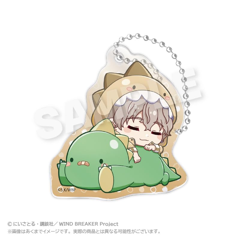 WIND BREAKER Trading Acrylic Keychains Gyaokore Box ver. 8-Piece