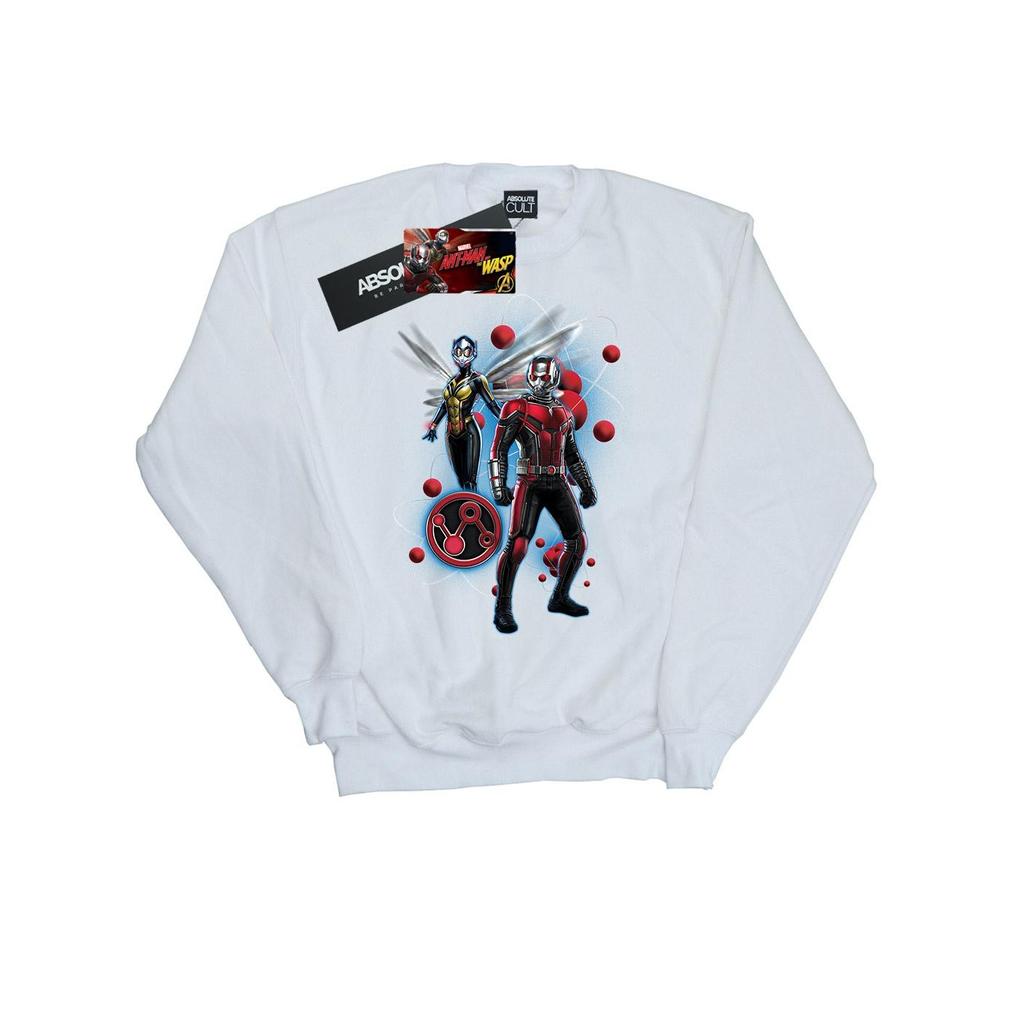Marvel Womens/Ladies Ant-Man And The Wasp Particle Pose Sweatshirt
