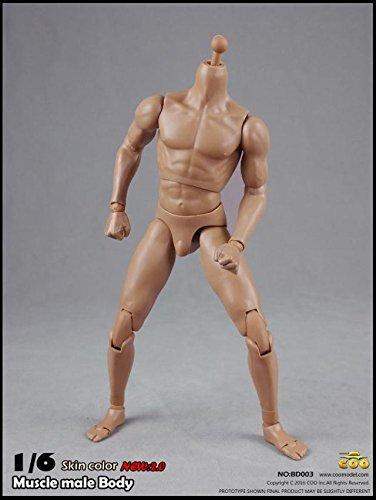 COOMODEL COO BD003 Male Action Body for Figures [TOYBARJAPAN] 1/6