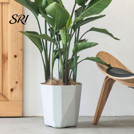 Contemporary Flower Pot Plant with Drainage Holes Decorative Planter Matching Saucer for Home Modern Indoor Outdoor Use Pothos Aloe